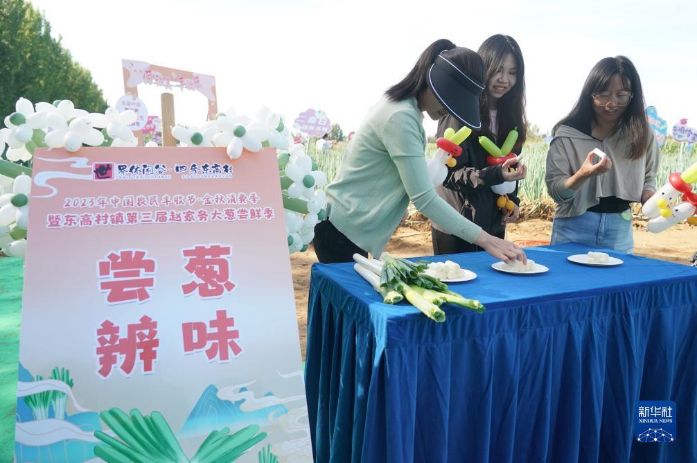 太阳成集团网站